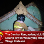 Caption : Pemadam Kebakaran (Damkar) Pos Rengasdengklok bergerak cepat mengevakuasi sarang tawon vespa Caption : Pemadam Kebakaran (Damkar) Pos Rengasdengklok bergerak cepat mengevakuasi sarang tawon vespa