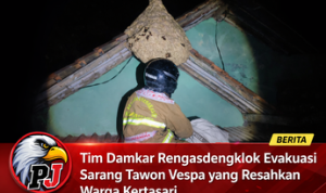 Caption : Pemadam Kebakaran (Damkar) Pos Rengasdengklok bergerak cepat mengevakuasi sarang tawon vespa Caption : Pemadam Kebakaran (Damkar) Pos Rengasdengklok bergerak cepat mengevakuasi sarang tawon vespa