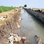 Caption : Penampakan saluran irigasi proyek PITER di Desa Kertamukti, Karawang, yang menuai sorotan warga dan petani karena hasil pekerjaan dinilai kurang rapih serta diduga tidak sesuai spesifikasi teknis