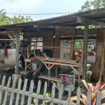 Caption : Kondisi rumah milik Suryana Kasim, warga Dusun Tegalasem RT 15/RW 06, Desa Kertasari, Kecamatan Rengasdengklok, Kabupaten Karawang, yang ambruk sejak dua tahun lalu dan hingga kini belum mendapatkan bantuan perbaikan melalui program Rumah Tidak Layak Huni (Rutilahu) dari Pemerintah Kabupaten Karawang. (Foto: Patriotjabar.com/Gugun Gunawan)