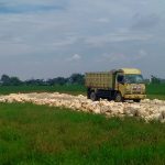 Sebuah truk pengangkut material terlihat berada di lokasi pembangunan kandang ayam di Dusun Bayur 1 RT 003 RW 008, Desa Payungsari, Kecamatan Pedes, Kabupaten Karawang. Aktivitas pembangunan sementara dihentikan guna melengkapi proses perizinan sesuai ketentuan yang berlaku. Sebuah truk pengangkut material terlihat berada di lokasi pembangunan kandang ayam di Dusun Bayur 1 RT 003 RW 008, Desa Payungsari, Kecamatan Pedes, Kabupaten Karawang. Aktivitas pembangunan sementara dihentikan guna melengkapi proses perizinan sesuai ketentuan yang berlaku.