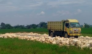Sebuah truk pengangkut material terlihat berada di lokasi pembangunan kandang ayam di Dusun Bayur 1 RT 003 RW 008, Desa Payungsari, Kecamatan Pedes, Kabupaten Karawang. Aktivitas pembangunan sementara dihentikan guna melengkapi proses perizinan sesuai ketentuan yang berlaku.
