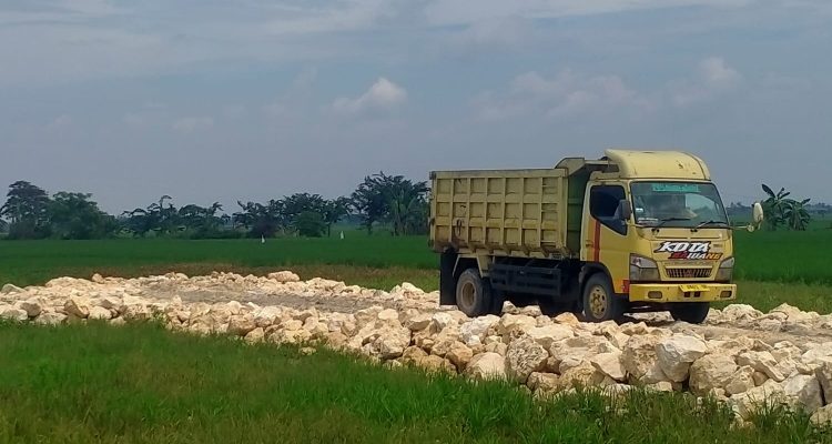 Sebuah truk pengangkut material terlihat berada di lokasi pembangunan kandang ayam di Dusun Bayur 1 RT 003 RW 008, Desa Payungsari, Kecamatan Pedes, Kabupaten Karawang. Aktivitas pembangunan sementara dihentikan guna melengkapi proses perizinan sesuai ketentuan yang berlaku. Sebuah truk pengangkut material terlihat berada di lokasi pembangunan kandang ayam di Dusun Bayur 1 RT 003 RW 008, Desa Payungsari, Kecamatan Pedes, Kabupaten Karawang. Aktivitas pembangunan sementara dihentikan guna melengkapi proses perizinan sesuai ketentuan yang berlaku.