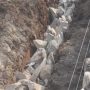Caption : Terlihat susunan batu belah pada proyek pembangunan saluran drainase di Dusun Sentul, Desa Pulojaya, Kecamatan Lemahabang, Kabupaten Karawang. Pekerjaan tersebut menjadi sorotan warga karena diduga pemasangan fondasi dilakukan tanpa lapisan adukan pasir dan semen sebagai dasar, sehingga memunculkan dugaan ketidaksesuaian dengan spesifikasi teknis dan Rencana Anggaran Biaya (RAB) proyek. Foto: Dokumentasi Lapangan/Patriotjabar.com