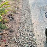 Kondisi ruas jalan pada proyek Peningkatan Jalan Poros Desa Dusun Krajan IA RT 02/01, Desa Sindangkarya, Kecamatan Kutawaluya, Kabupaten Karawang. Pada beberapa titik terlihat sebaran agregat batu split dan permukaan jalan yang dinilai belum merata, sehingga memunculkan dugaan adanya ketidaksesuaian volume material yang digunakan.
