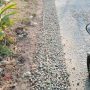 Kondisi ruas jalan pada proyek Peningkatan Jalan Poros Desa Dusun Krajan IA RT 02/01, Desa Sindangkarya, Kecamatan Kutawaluya, Kabupaten Karawang. Pada beberapa titik terlihat sebaran agregat batu split dan permukaan jalan yang dinilai belum merata, sehingga memunculkan dugaan adanya ketidaksesuaian volume material yang digunakan.