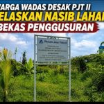 Lahan bekas penggusuran di Desa Wadas, Kecamatan Telukjambe Timur, Kabupaten Karawang, tampak dipenuhi rumput liar dan sejumlah tanaman kelapa hibrida yang tidak terawat. Warga meminta PT Jasa Tirta II (PJT II) memberikan penjelasan terkait status proyek dan rencana pemanfaatan lahan yang hingga kini belum menunjukkan perkembangan yang jelas.