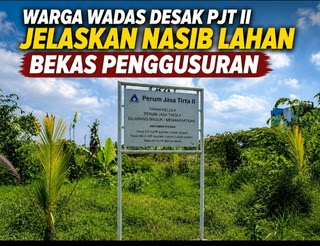 Lahan bekas penggusuran di Desa Wadas, Kecamatan Telukjambe Timur, Kabupaten Karawang, tampak dipenuhi rumput liar dan sejumlah tanaman kelapa hibrida yang tidak terawat. Warga meminta PT Jasa Tirta II (PJT II) memberikan penjelasan terkait status proyek dan rencana pemanfaatan lahan yang hingga kini belum menunjukkan perkembangan yang jelas.