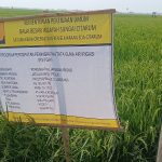 Caption : Papan informasi Program Percepatan Peningkatan Tata Guna Air Irigasi (P3-TGAI) di Desa Malangsari, Kecamatan Pedes, Kabupaten Karawang. Proyek peningkatan jaringan irigasi tersebut memiliki nilai anggaran sebesar Rp195 juta yang bersumber dari APBN Tahun Anggaran 2026, dengan pelaksana P3A Motekar dan tercantum dilaksanakan secara swakelola serta tidak boleh dipihakketigakan. Program ini kini menjadi sorotan menyusul munculnya dugaan ketidaksesuaian dalam pengelolaan anggaran material proyek.