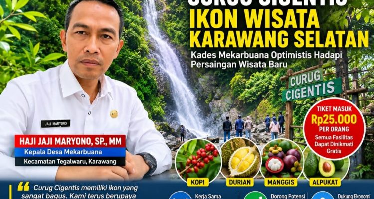 Caption : Kepala Desa Mekarbuana, H. Jaji Maryono, SP., MM, menyampaikan komitmennya untuk terus mengembangkan Curug Cigentis sebagai ikon wisata alam Karawang Selatan. Selain mengandalkan keindahan air terjun dan fasilitas yang lengkap, Pemerintah Desa Mekarbuana juga mendorong pengembangan komoditas unggulan seperti kopi, durian, manggis, dan alpukat guna meningkatkan perekonomian masyarakat. Harga tiket masuk Curug Cigentis sebesar Rp25.000 per orang, dengan seluruh fasilitas wisata dapat dinikmati tanpa biaya tambahan. Foto: Istimewa/Patriotjabar.com Caption : Kepala Desa Mekarbuana, H. Jaji Maryono, SP., MM, menyampaikan komitmennya untuk terus mengembangkan Curug Cigentis sebagai ikon wisata alam Karawang Selatan. Selain mengandalkan keindahan air terjun dan fasilitas yang lengkap, Pemerintah Desa Mekarbuana juga mendorong pengembangan komoditas unggulan seperti kopi, durian, manggis, dan alpukat guna meningkatkan perekonomian masyarakat. Harga tiket masuk Curug Cigentis sebesar Rp25.000 per orang, dengan seluruh fasilitas wisata dapat dinikmati tanpa biaya tambahan. Foto: Istimewa/Patriotjabar.com