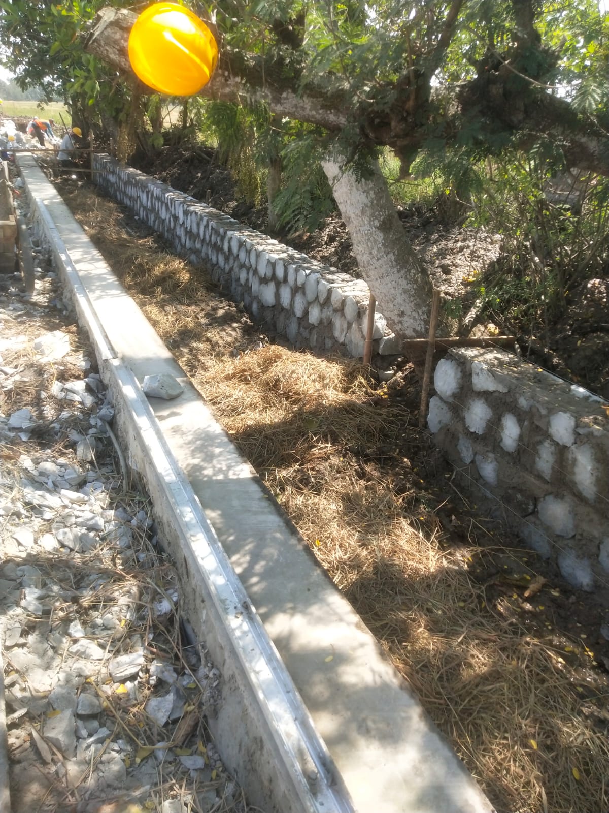 Caption : Kondisi proyek P3-TGAI di Desa Telukambulu, Kecamatan Batujaya, Kabupaten Karawang. Terlihat pasangan batu turap diduga tidak menggunakan batu muka, jarak nat antar batu diduga tidak sesuai spesifikasi teknis, serta terdapat pohon yang tetap berada di tengah bangunan turap sehingga memunculkan dugaan pengurangan volume pekerjaan. Selain itu, galian pondasi juga diduga relatif dangkal. Temuan ini masih memerlukan klarifikasi dari pihak pelaksana dan BBWS Citarum. (Foto: Patriotjabar.com)