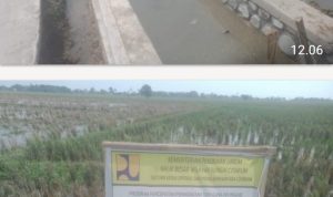 Caption : Kondisi saluran irigasi Program Percepatan Peningkatan Tata Guna Air Irigasi (P3-TGAI) di Desa Kertamukti, Kecamatan Cilebar, Kabupaten Karawang, yang telah selesai dibangun dan siap mendukung kelancaran pasokan air bagi lahan pertanian warga. Caption : Kondisi saluran irigasi Program Percepatan Peningkatan Tata Guna Air Irigasi (P3-TGAI) di Desa Kertamukti, Kecamatan Cilebar, Kabupaten Karawang, yang telah selesai dibangun dan siap mendukung kelancaran pasokan air bagi lahan pertanian warga.