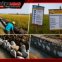Caption : Kondisi pelaksanaan proyek Peningkatan Jaringan Irigasi Program Percepatan Peningkatan Tata Guna Air Irigasi (P3-TGAI) di Desa Makmurjaya, Kecamatan Jayakerta, Kabupaten Karawang. Terlihat proses pemasangan pasangan batu, papan informasi proyek, serta hasil pekerjaan yang diduga tidak memenuhi spesifikasi teknis, seperti penggunaan batu tanpa batu muka, lebar nat antar batu yang melebihi ketentuan, dan dugaan pemasangan batu tanpa adukan dasar maupun pengeringan aliran air terlebih dahulu. Dugaan tersebut menjadi sorotan masyarakat dan diharapkan mendapat pemeriksaan dari pihak BBWS Citarum.
