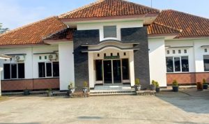 IMG-20250622-WA0190-768x337