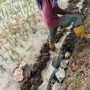 Caption :Seorang pekerja terlihat melakukan pemasangan material batu pada area yang masih tergenang air dalam proyek penurapan Jalan Poros Mekarjati. Kondisi tersebut menjadi sorotan dan memunculkan pertanyaan terkait metode pelaksanaan serta pengawasan pekerjaan.