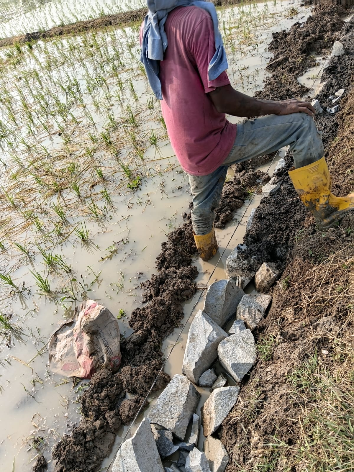 Caption :Seorang pekerja terlihat melakukan pemasangan material batu pada area yang masih tergenang air dalam proyek penurapan Jalan Poros Mekarjati. Kondisi tersebut menjadi sorotan dan memunculkan pertanyaan terkait metode pelaksanaan serta pengawasan pekerjaan. Caption :Seorang pekerja terlihat melakukan pemasangan material batu pada area yang masih tergenang air dalam proyek penurapan Jalan Poros Mekarjati. Kondisi tersebut menjadi sorotan dan memunculkan pertanyaan terkait metode pelaksanaan serta pengawasan pekerjaan.